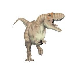 兽脚类恐龙中的暴龙“阿尔伯脱龙”