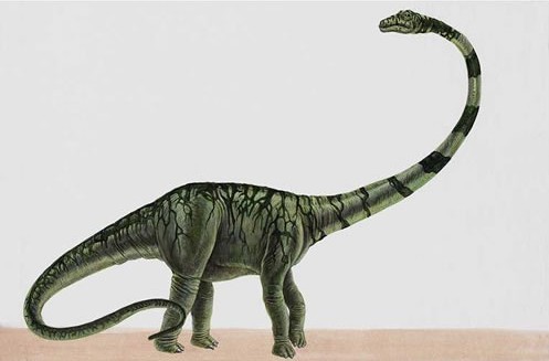 重龙是晚侏罗世的大型植食性恐龙