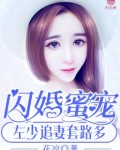 闪婚蜜宠：左少追妻套路多