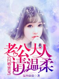 闪婚蜜宠：老公大人请温柔