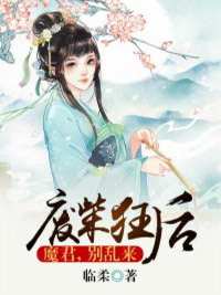 妖孽魔君废柴妃