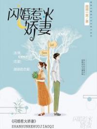 闪婚惹火娇妻