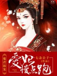 魔君宠妃：爱妃，慢点跑