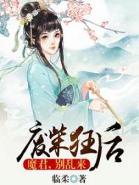 废柴狂后之魔君别乱来