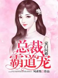 豪门闪婚：总裁霸道宠