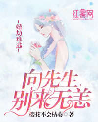 婚劫难逃：向先生，别来无恙