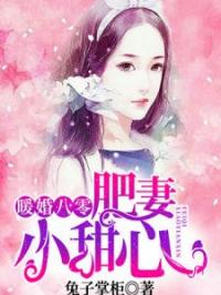 暖婚八零：肥妻小甜心