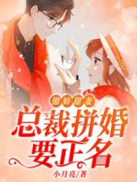 傲娇甜妻：总裁拼婚要正名