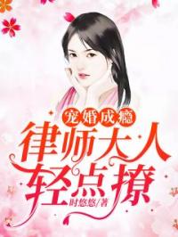 宠婚成瘾：律师大人轻点撩