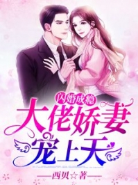 闪婚大佬宠娇妻