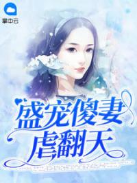 盛宠傻妻虐翻天