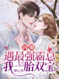 闪婚：遇最强霸总，我一胎双宝