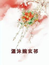 温沐婉玄祁