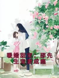 暖婚甜宠：邵先生宠妻成瘾