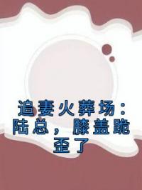 追妻火葬场：陆总，膝盖跪歪了