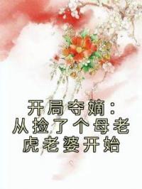 开局夺嫡：从捡了个母老虎老婆开始