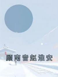 顾南音赵淮安