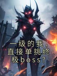 一级的我，直接单挑终极boss？