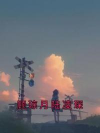 顾琼月陆凌琛