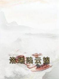 洛曦陆云锦