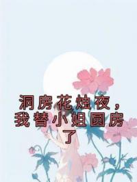 洞房花烛夜，我替小姐圆房了