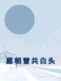 愿朝雪共白头