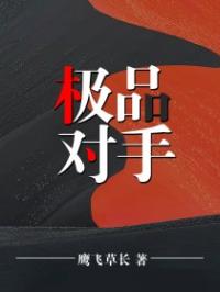 宦海杀星：绝对正义